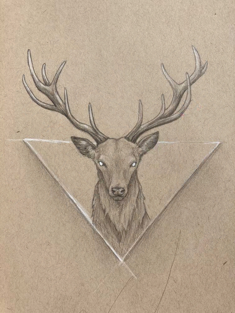 Art 11