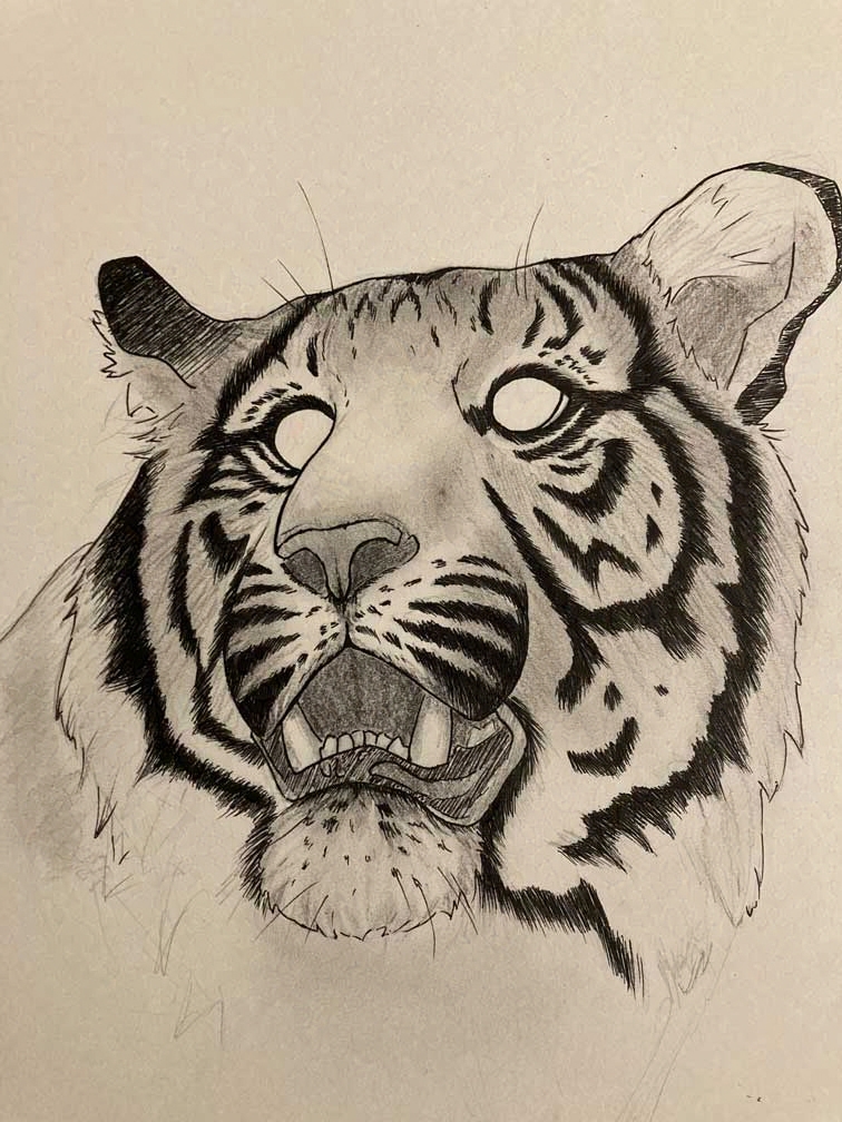 Art 14