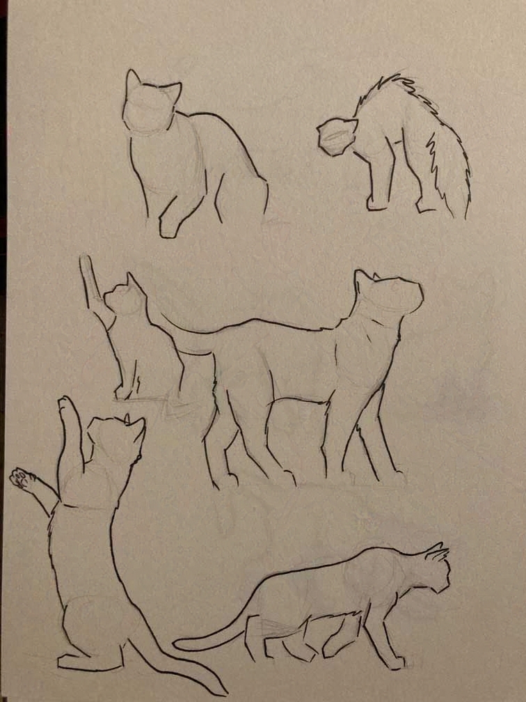 Art 20